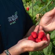 Angus Soft Fruits has been based in Evesham since 2010