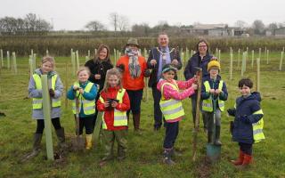 (middle left) Cllr Linda Robinson, who represents Upton Snodsbury on Wychavon District Council and (middle right) Cllr Robert Raphael, council chairman, help staff and pupils from Upton Snodsbury C of E First School plant the new woodland