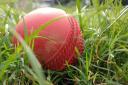 Weekend of mixed results for Taunton St Andrews cricket teams