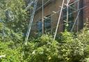 Scaffolding surrounding Pinder Heights, in Evesham town centre,  has been swallowed up by weeds after going up four months ago