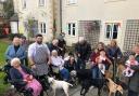 Dogs visited residents, family members and staff at Mill House.