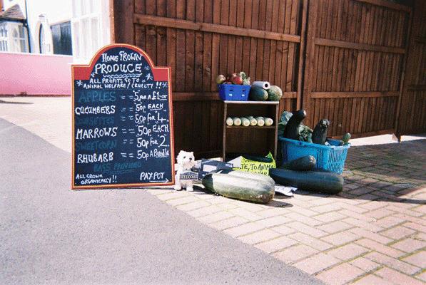 Home grown produce for sale in Albert Road