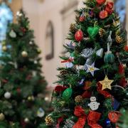 Dozens of Christmas Trees will fill All Saints Church for the festival which starts this weekend