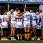 Wasps look set to be playing rugby at Sixways next season.