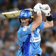 Adam Hose impressed for the Adelaide Strikers last year