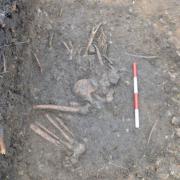 A crouched skeleton that was found on the site in Evesham.
