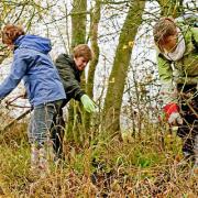 HARD AT WORK: Gloucestershire Wildlife Trust volunteers work on a Cotswold riverbank.