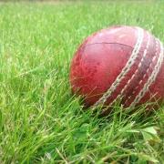 Cricket news