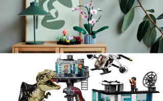 LEGO unveils new products for its Jurassic Park and Botanical collections