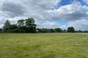 FIELDS: The land off Oakleigh Heath in Hallow where up to 40 homes will be built by Platform Housing