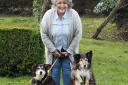Dogs Trust volunteer Sue Lewis with Teddy (right) and Sheba (left)