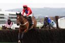 Editeur Du Gite wins a classic Clarence House Chase at Cheltenham on Saturday.