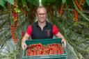 Evesham grower Roly Holt is urging Worcestershire residents to buy British following a tomato shortage