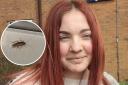 DISGUST: Rebecca Skeet a former University of Worcester student and one of the cockroaches she photographed crawling around her hall of residence