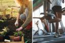 Gardening is better for increasing your life longevity than the gym, according to Dan Buettner.
