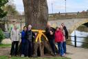 Residents said goodbye to the tree on Monks Walk in Evesham.