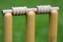 Cricket round-up: Mixed fortunes for Pershore