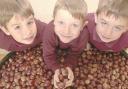 Cleeve Prior conker collectors William Jones (centre) with George Cooper (left) and Spencer Roberts with some of the 6,400 their class had accumulated in October 2005