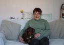 Annie Poolton with Valentine, one of the many dogs she has cared for since becoming a volunteer foster carer