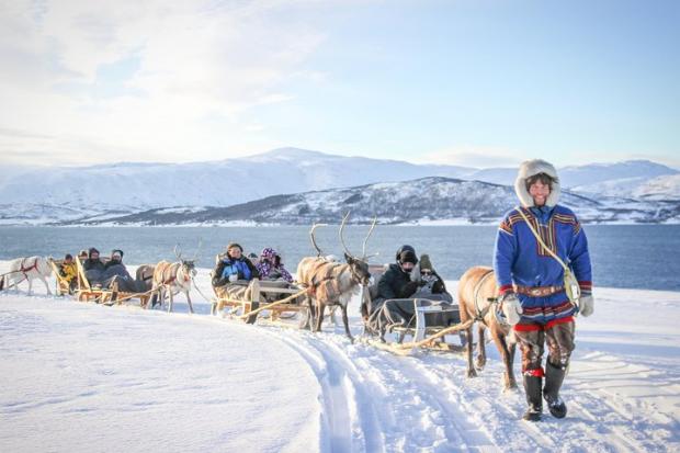 Evesham Journal: Reindeer Sledding Experience and Sami Culture Tour from Tromso - Tromso, Norway. Credit: TripAdvisor