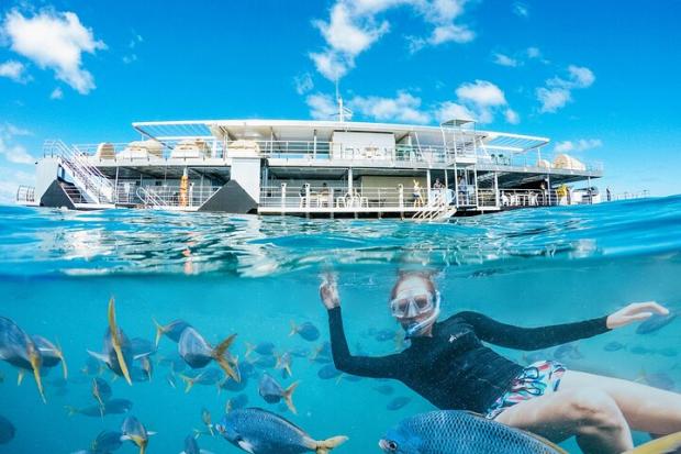 Evesham Journal: Two-Day Great Barrier Reef "Reefsleep" Experience - Airlie Beach, Australia Credit: TripAdvisor