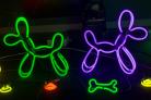 Neon Dogs by Deepa Mann-Kler. Picture: Lizzie Coombes