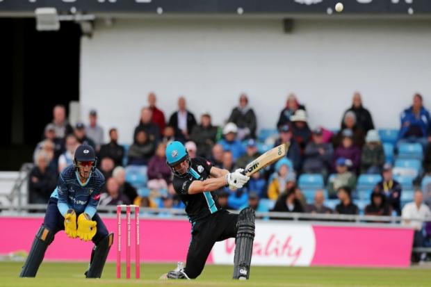 Jack Haynes continued his good form with 61 in Worcestershire's defeat at Yorkshire.