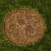 ART: 50ft sheep fleece drawing appears at the South Meadow at Avon Meadows, Pershore Worcestershire
