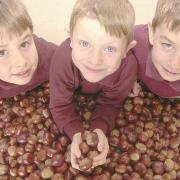 Cleeve Prior conker collectors William Jones (centre) with George Cooper (left) and Spencer Roberts with some of the 6,400 their class had accumulated in October 2005
