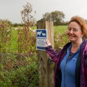 Liz Etheridge is asking dog walkers to keep their pets on leads when walking through the meadows