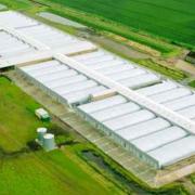 TUNNEL: An existing farm in Cambridge with a similar design to the proposed scheme in Pinvin