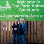 Founder of the Farm Animal Sanctuary Jan Taylor with national treasure Joanna Lumley at the charity's annual open day. Credit: James Gibson Photography