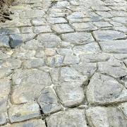 The Roman road discovered near Evesham