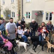 Dogs visited residents, family members and staff at Mill House.