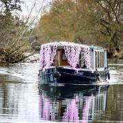 Themed boats will set sail as part of the Blossom Trail's 40th anniversary