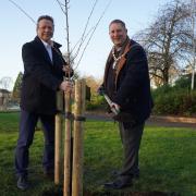 Nigel Huddleston MP (left) for Mid-Worcestershire and Cllr Robert Raphael (right), chairman of Wychavon District Council, plant one of the cherry trees in Abbey Park