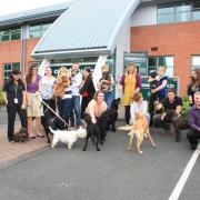 BARKING: Staff and dogs at Evesham's Countrywide Farmers headquarters