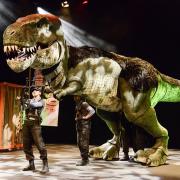 DINOFUN: Even T-Rex is in on the act. Pic by Robert Day