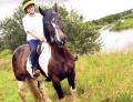 Evesham Journal: Mrs Martin on her horse Ted enjoying the toll ride on Wick meadows.