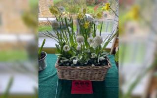 The Annual Spring Show at Ebrington Village Hall saw some bright displays from avid gardeners