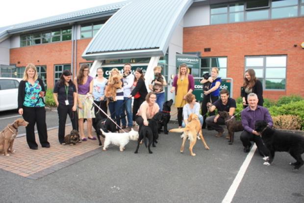 BARKING: Staff and dogs at Evesham's Countrywide Farmers headquarters